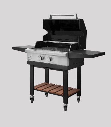 باربیکیو ۲ شعله جهان گاز