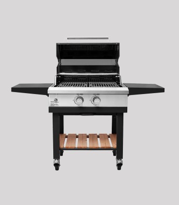 باربیکیو ۲ شعله جهان گاز