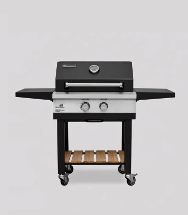 باربیکیو ۲ شعله جهان گاز